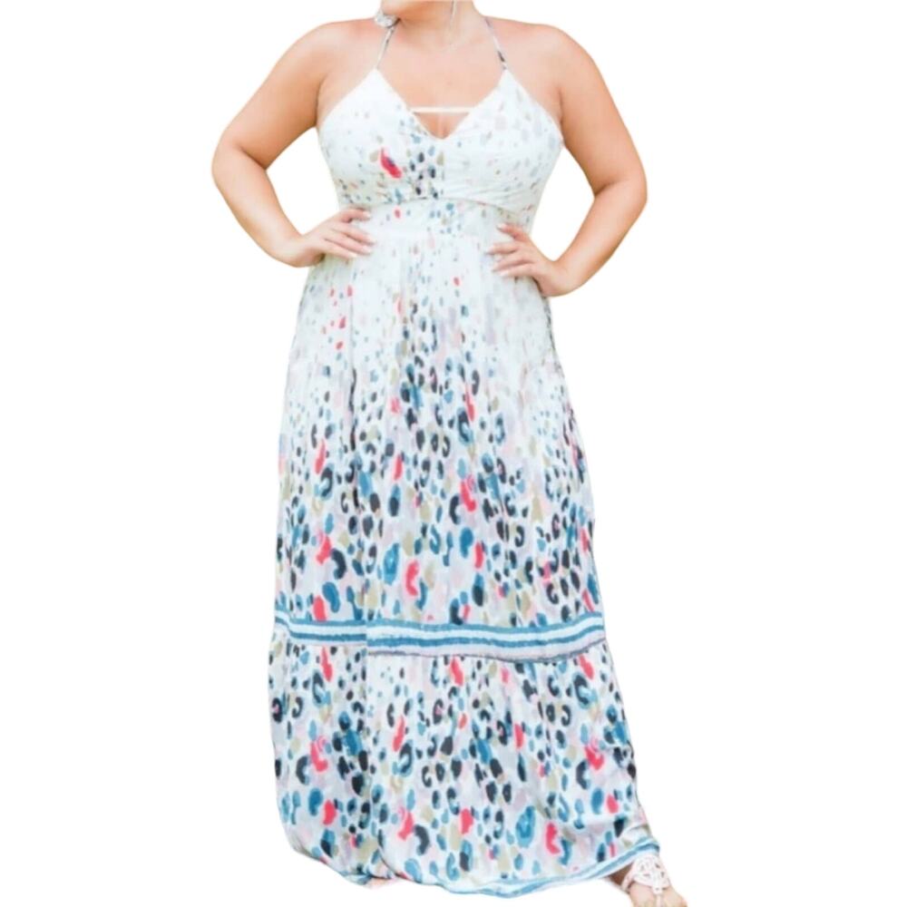 PERFECTLY PRISCILLA A New Vision Print Maxi Dress